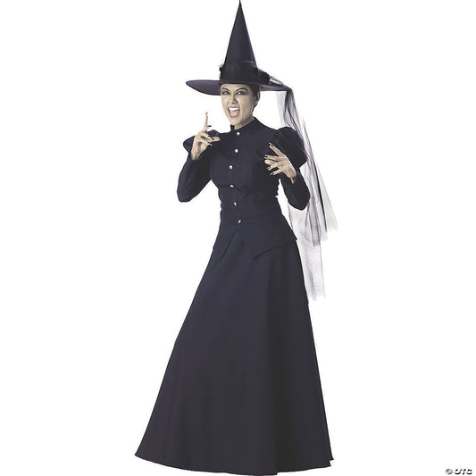 WICKED WITCH ADULT XLGE